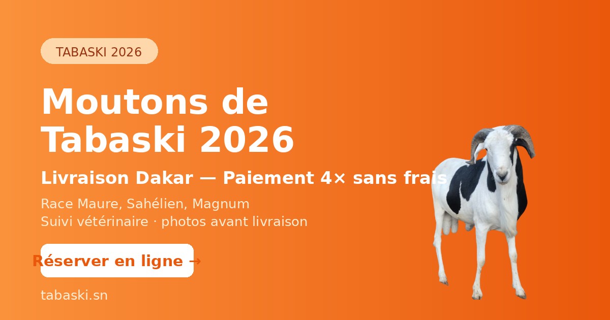 Mode Tabaski 2026 : Les Plus Beaux Modèles au Sénégal | TABASKI.SN